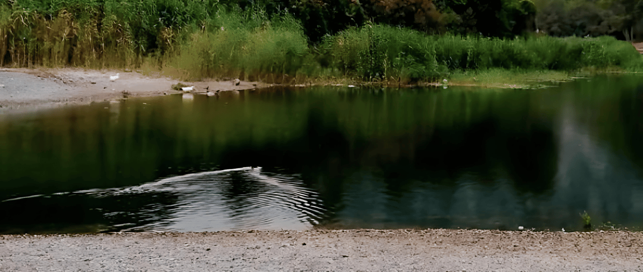 Lotus Olympos Camping